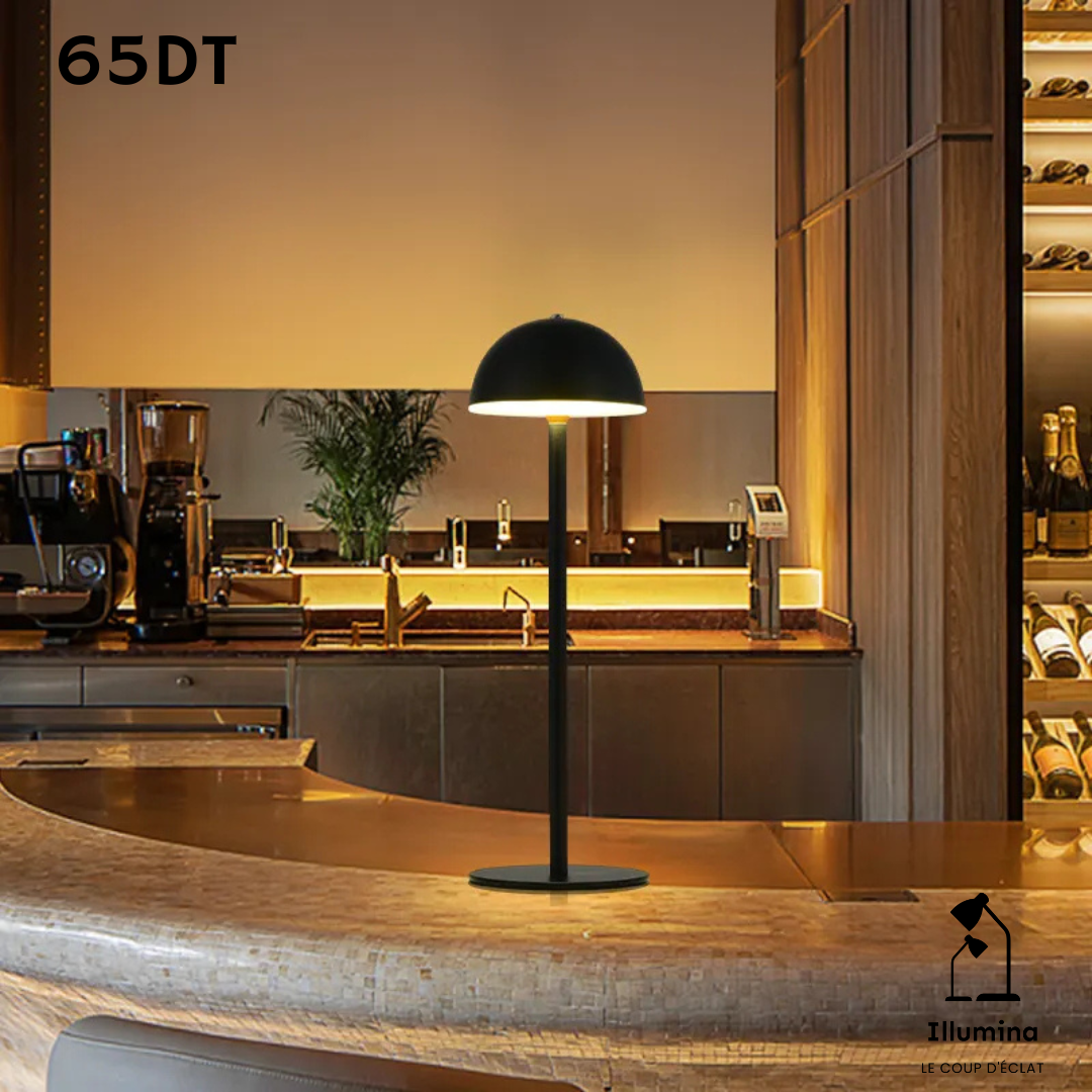 Lampe rechargeable Move